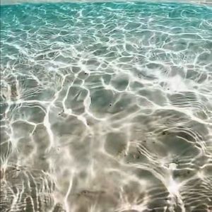 Meet your Posher, Kylie